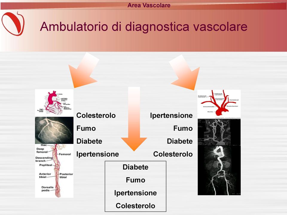 Ipertensione Colesterolo