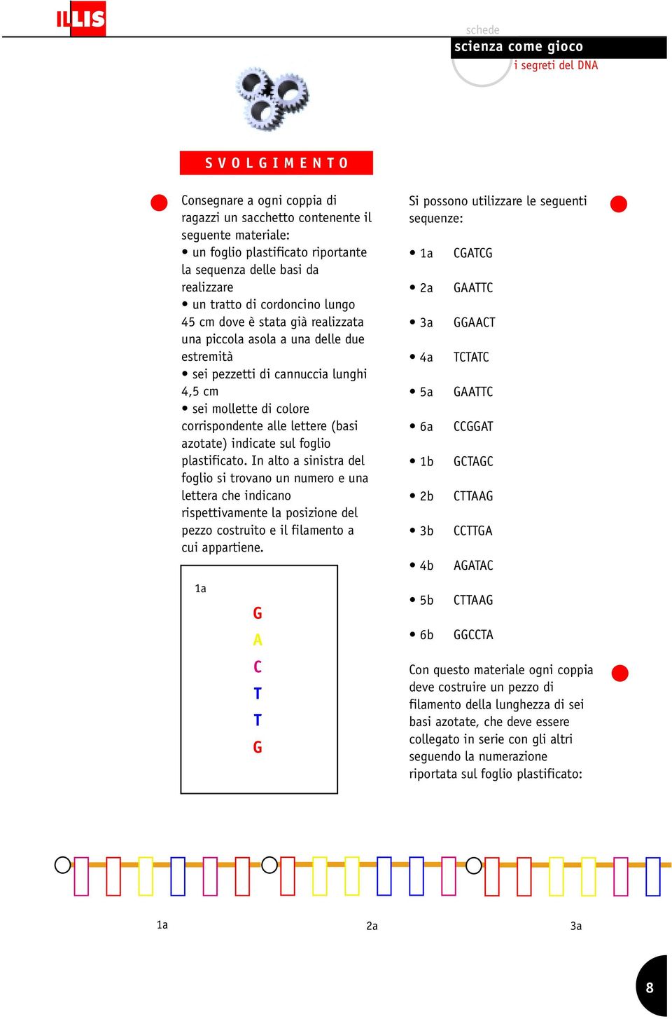 foglio plastificato. In alto a sinistra del foglio si trovano un numero e una lettera che indicano rispettivamente la posizione del pezzo costruito e il filamento a cui appartiene.