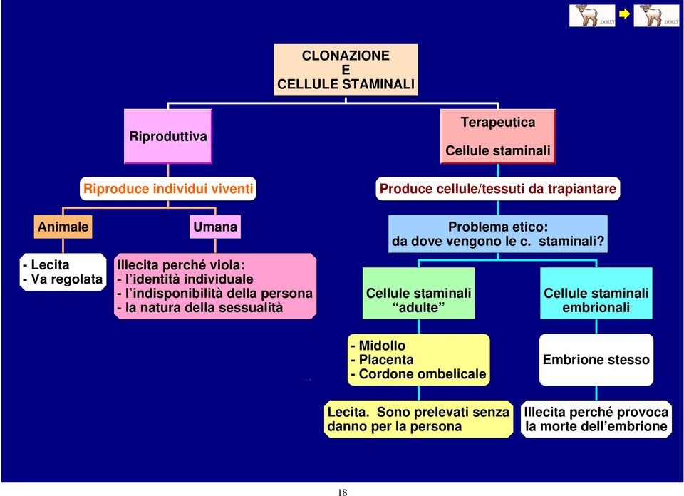 natura della sessualità Problema etico: da dove vengono le c. staminali?