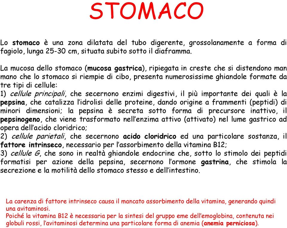 cellule principali, che secernono enzimi digestivi, il più importante dei quali è la pepsina, che catalizza l idrolisi delle proteine, dando origine a frammenti (peptidi) di minori dimensioni; la