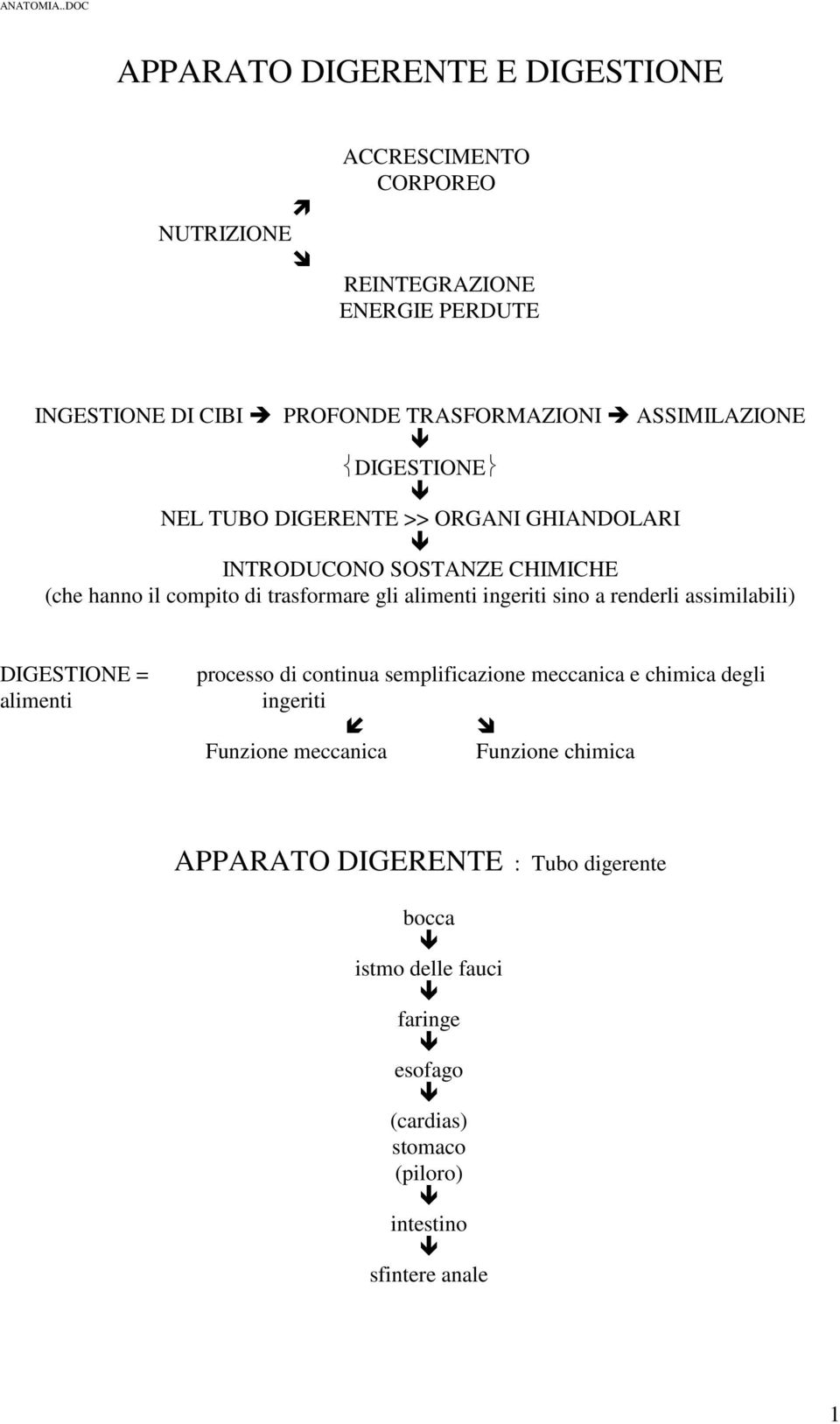 ingeriti sino a renderli assimilabili) DIGESTIONE = alimenti processo di continua semplificazione meccanica e chimica degli ingeriti Funzione