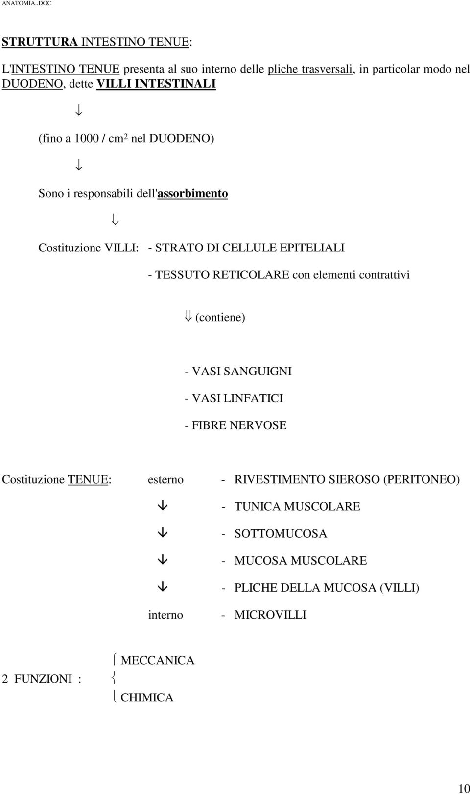 RETICOLARE con elementi contrattivi (contiene) - VASI SANGUIGNI - VASI LINFATICI - FIBRE NERVOSE Costituzione TENUE: esterno - RIVESTIMENTO