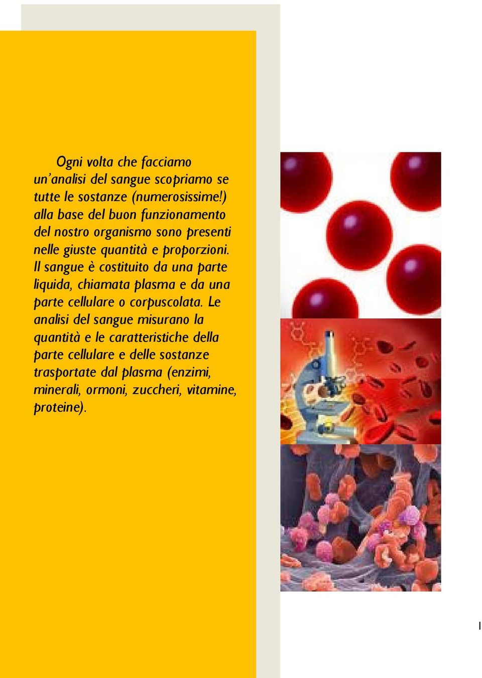 Il sangue è costituito da una parte liquida, chiamata plasma e da una parte cellulare o corpuscolata.