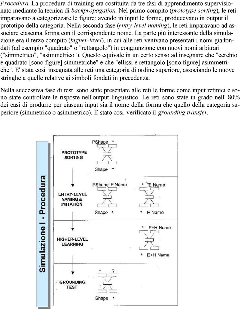 Nella seconda fase (entry-level naming), le reti imparavano ad associare ciascuna forma con il corrispondente nome.