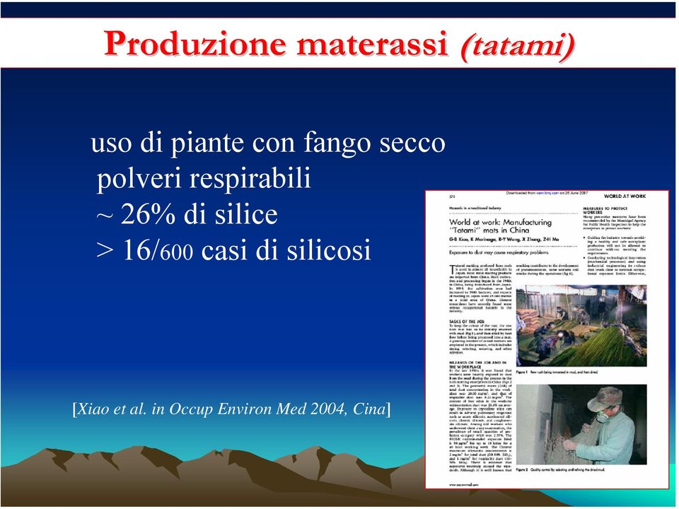 respirabili ~ 26% di silice > 16/600 casi