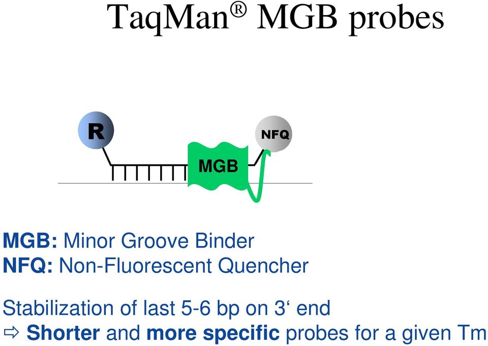 Quencher Stabilization of last 5-6 bp on 3