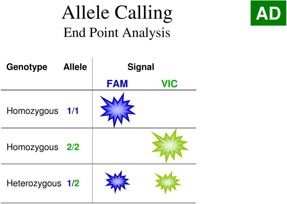 Signal FAM VIC Homozygous