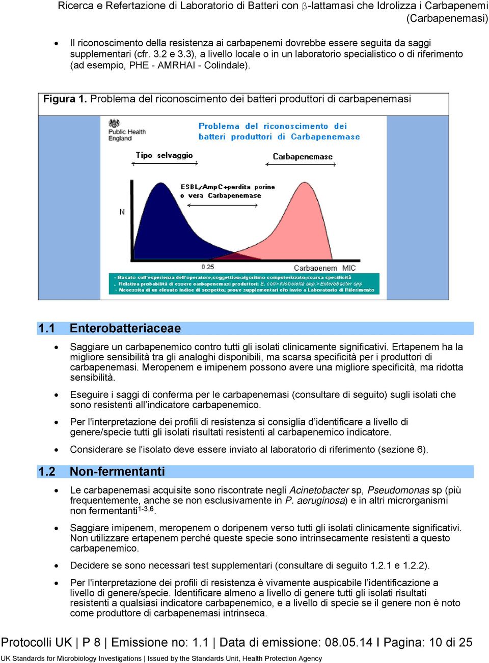 1 Enterobatteriaceae Saggiare un carbapenemico contro tutti gli isolati clinicamente significativi.