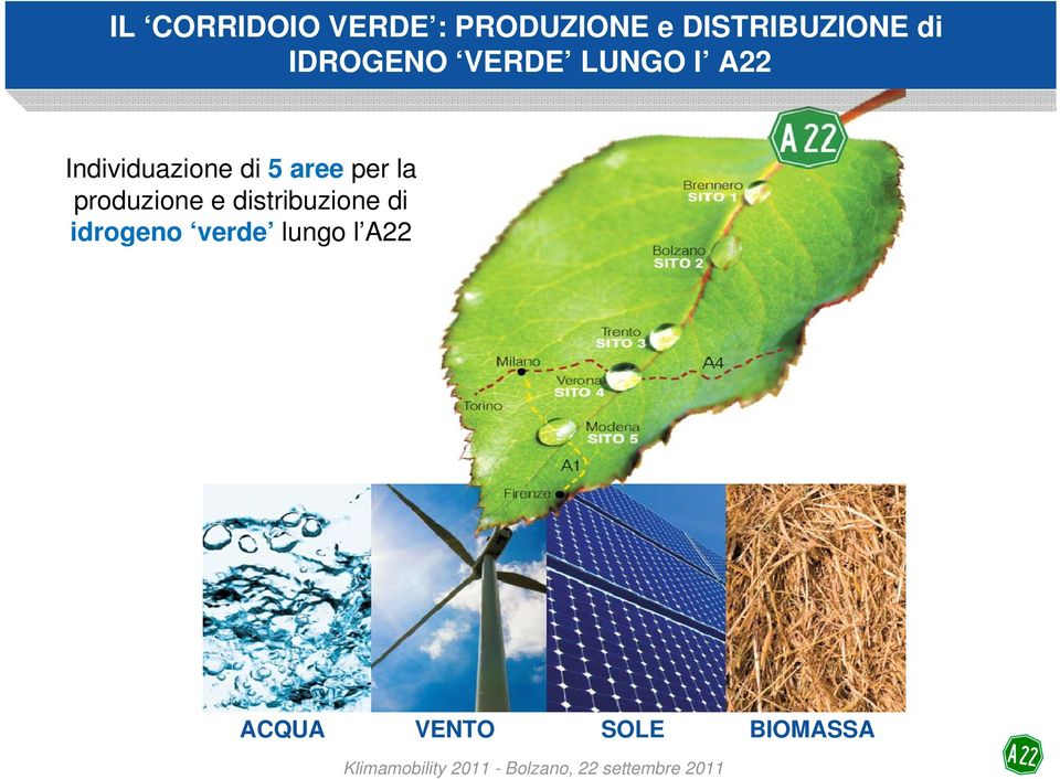 5 aree per la produzione e distribuzione di