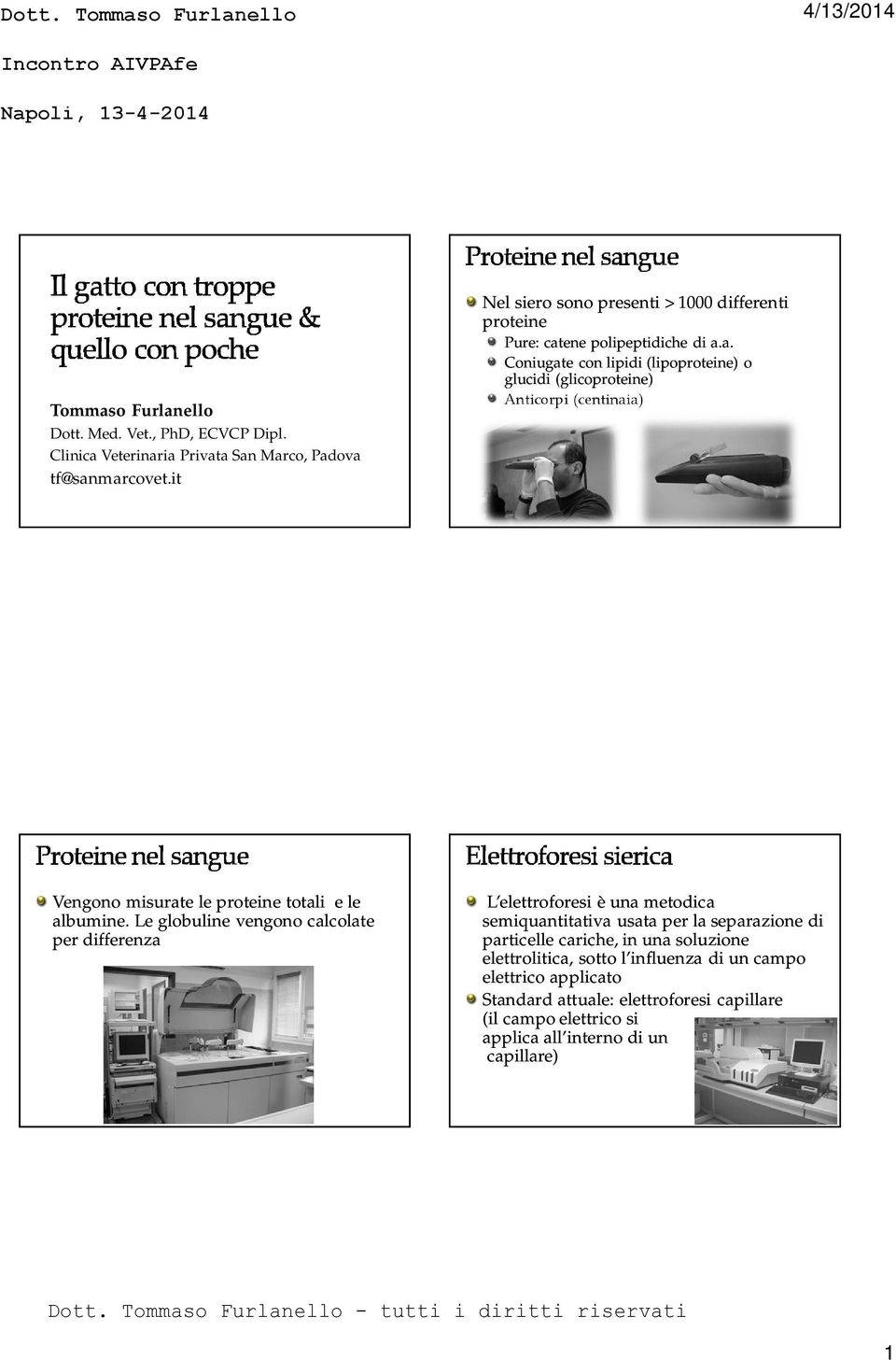 ene polipeptidiche di a.a. Coniugate con lipidi (lipoproteine) o glucidi (glicoproteine) Anticorpi (centinaia) Vengono misurate le proteine totali e le albumine.