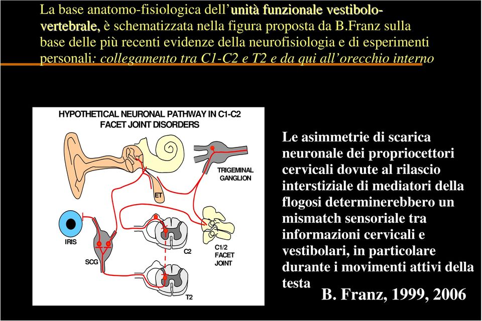 NEURONAL PATHWAY IN C1-C2 FACET JOINT DISORDERS IRIS SCG ET C2 T2 TRIGEMINAL GANGLION C1/2 FACET JOINT Le asimmetrie di scarica neuronale dei propriocettori
