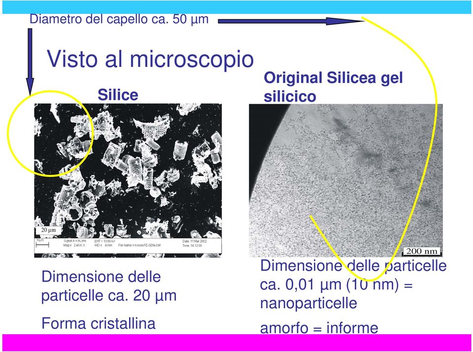 silicico 1 20 µm Dimensione delle particelle ca.