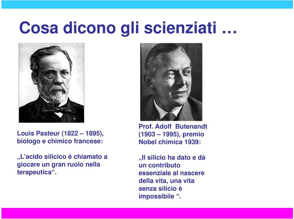 Adolf Butenandt (1903 1995), premio Nobel chimica 1939: Il silicio ha dato e dà