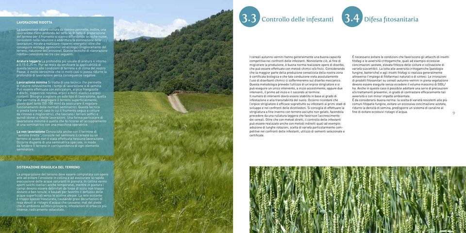 energetici oltre che conseguire vantaggi agronomici ed ecologici (miglioramento del terreno, riduzione dell erosione).