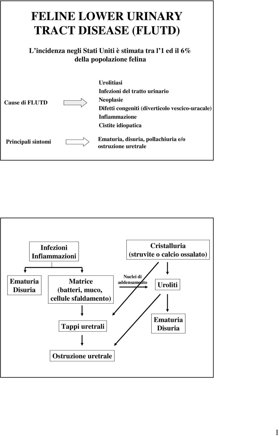 idiopatica Ematuria, disuria, pollachiuria e/o ostruzione uretrale Infezioni Infiammazioni Cristalluria (struvite o calcio ossalato)