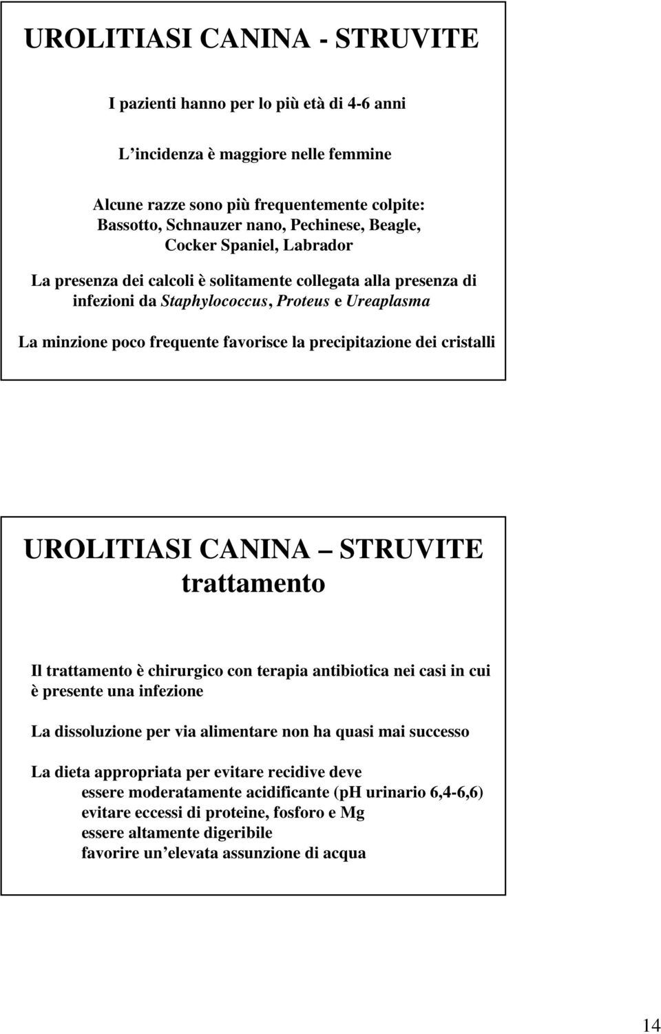 precipitazione dei cristalli UROLITIASI CANINA STRUVITE trattamento Il trattamento è chirurgico con terapia antibiotica nei casi in cui è presente una infezione La dissoluzione per via alimentare non