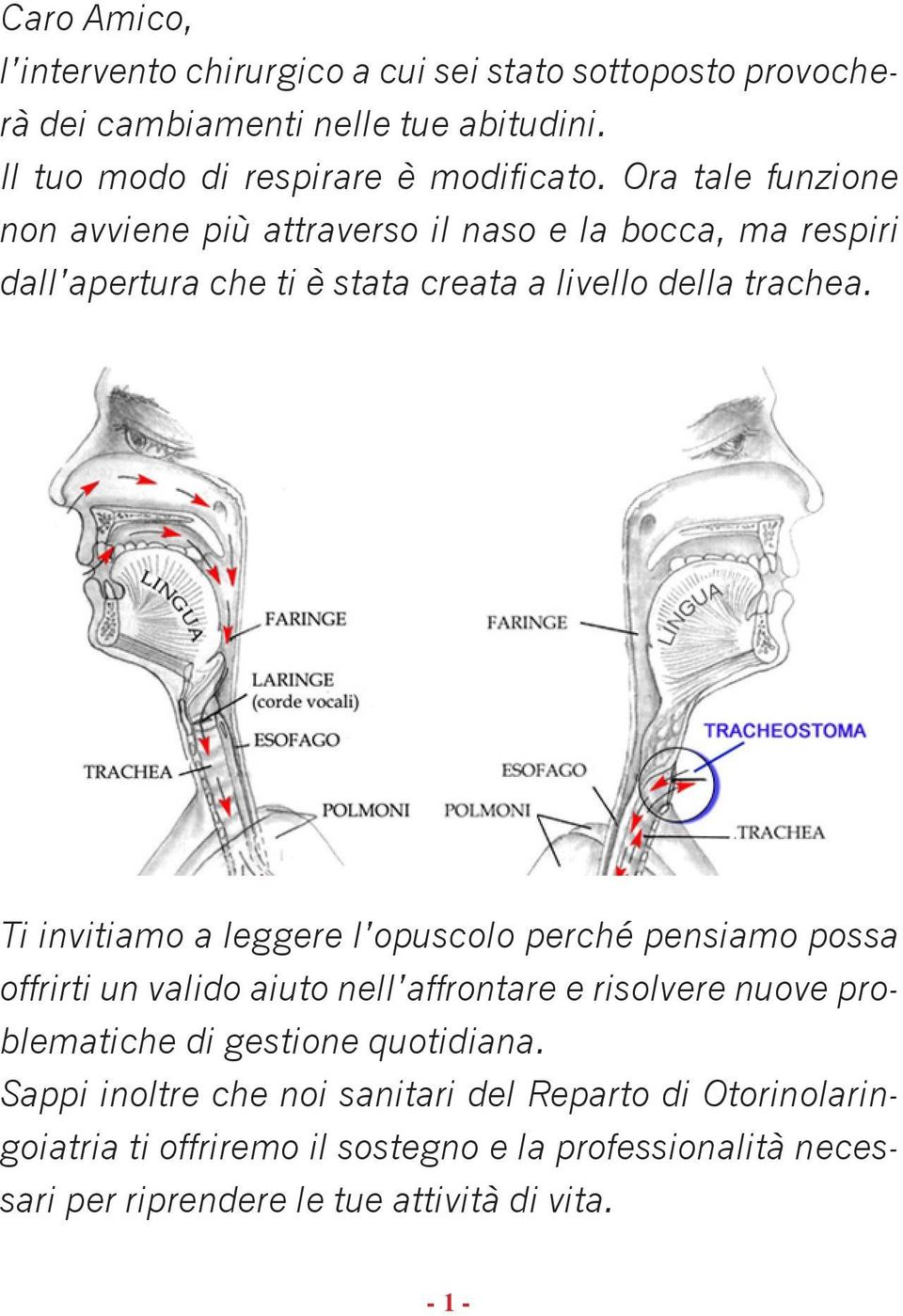 Ti invitiamo a leggere l opuscolo perché pensiamo possa offrirti un valido aiuto nell affrontare e risolvere nuove problematiche di gestione quotidiana.