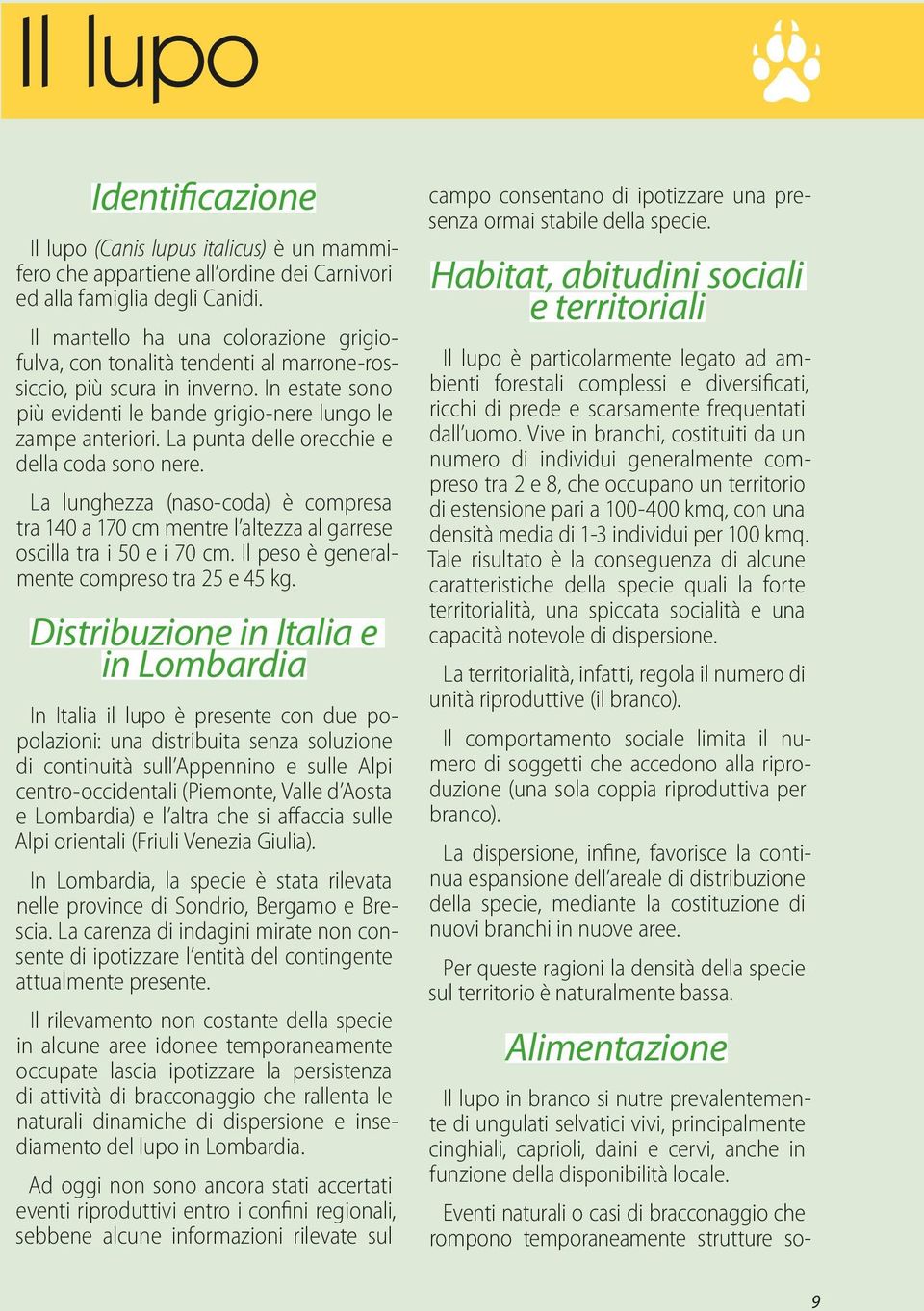 La punta delle orecchie e della coda sono nere. La lunghezza (naso-coda) è compresa tra 140 a 170 cm mentre l altezza al garrese oscilla tra i 50 e i 70 cm.