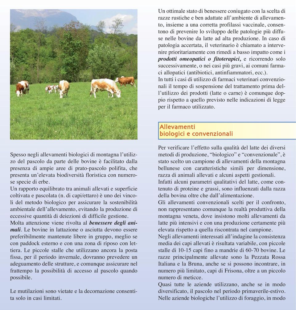 In caso di patologia accertata, il veterinario è chiamato a intervenire prioritariamente con rimedi a basso impatto come i prodotti omeopatici o fitoterapici, e ricorrendo solo successivamente, o nei