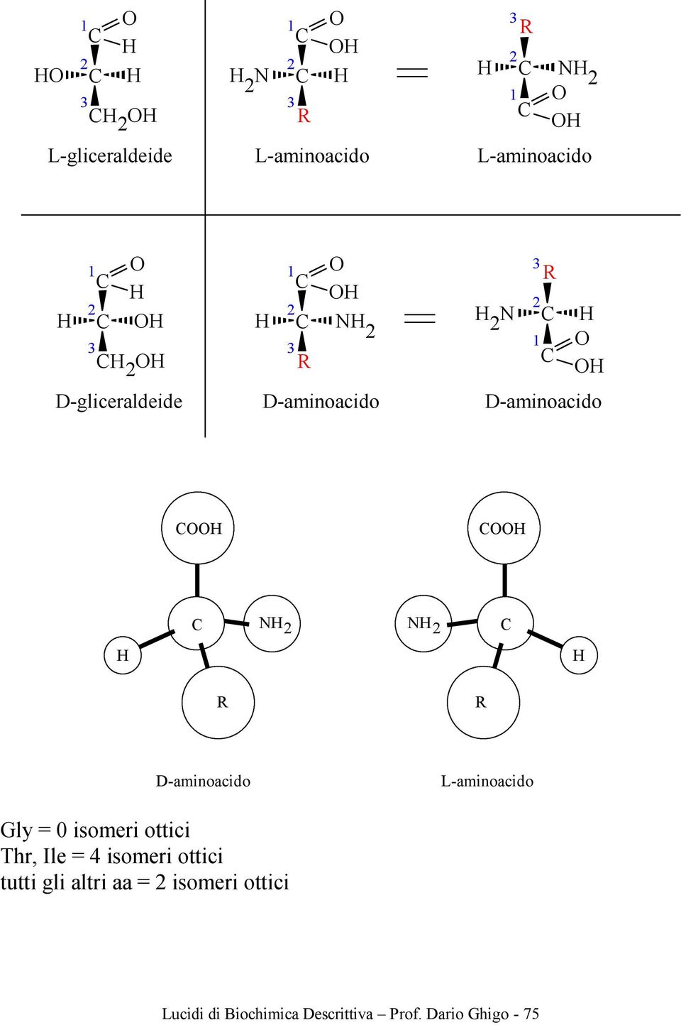 L-aminoacido Gly = 0 isomeri ottici Thr, Ile = 4 isomeri ottici tutti gli