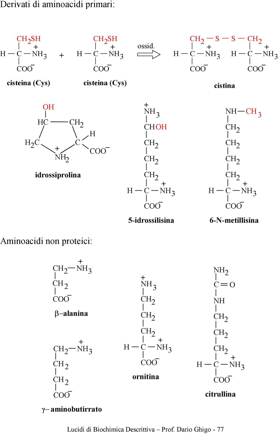 Aminoacidi non proteici: N β alanina N 5-idrossilisina N N