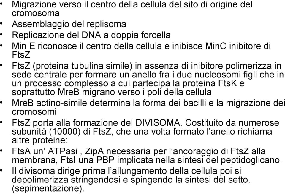 proteina FtsK e soprattutto MreB migrano verso i poli della cellula MreB actino-simile determina la forma dei bacilli e la migrazione dei cromosomi FtsZ porta alla formazione del DIVISOMA.