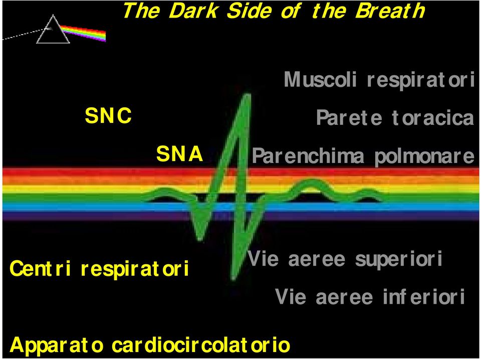 polmonare Centri respiratori Vie aeree