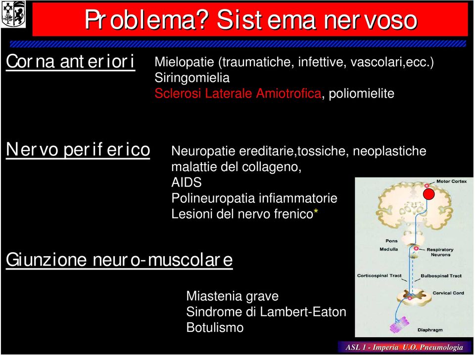 ereditarie,tossiche, neoplastiche malattie del collageno, AIDS Polineuropatia infiammatorie