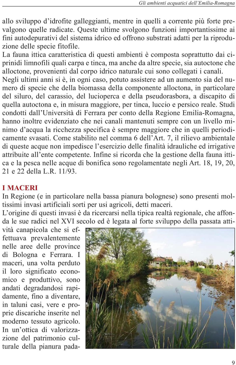 La fauna ittica caratteristica di questi ambienti è composta soprattutto dai ciprinidi limnofili quali carpa e tinca, ma anche da altre specie, sia autoctone che alloctone, provenienti dal corpo