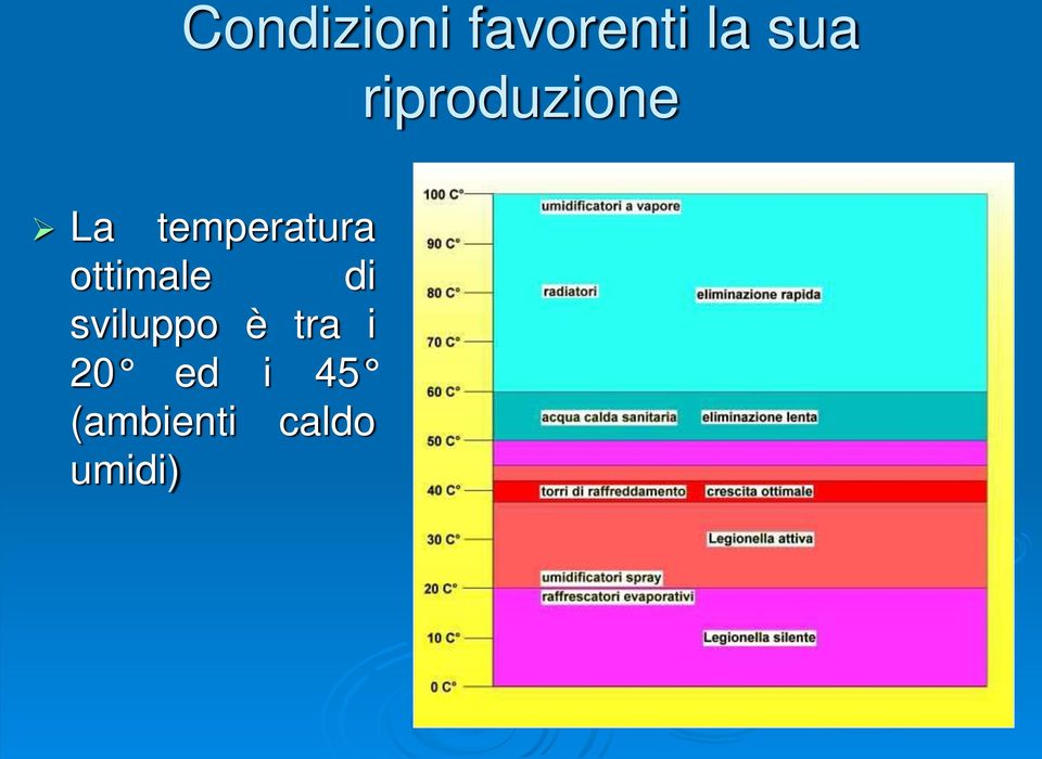 ottimale di sviluppo è tra i