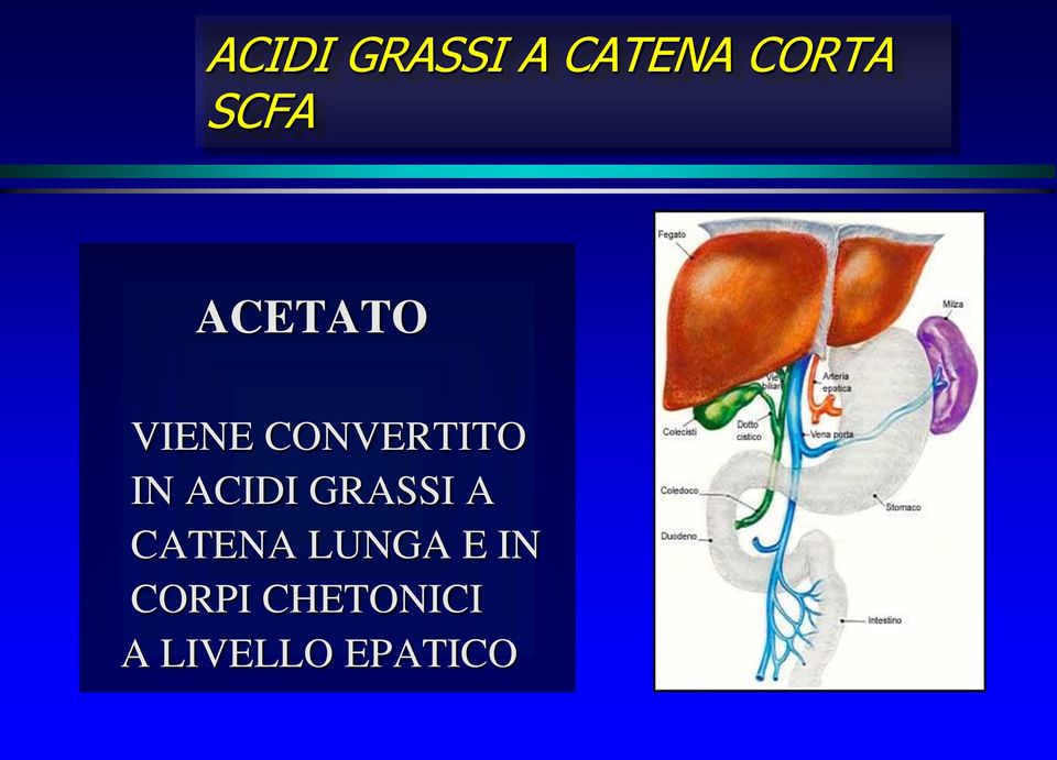 IN ACIDI GRASSI A CATENA LUNGA