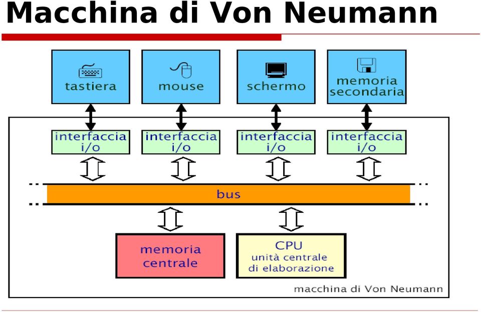 Neumann