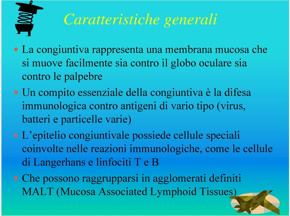 batteri e particelle varie) L epitelio congiuntivale possiede cellule speciali coinvolte nelle reazioni immunologiche, come le