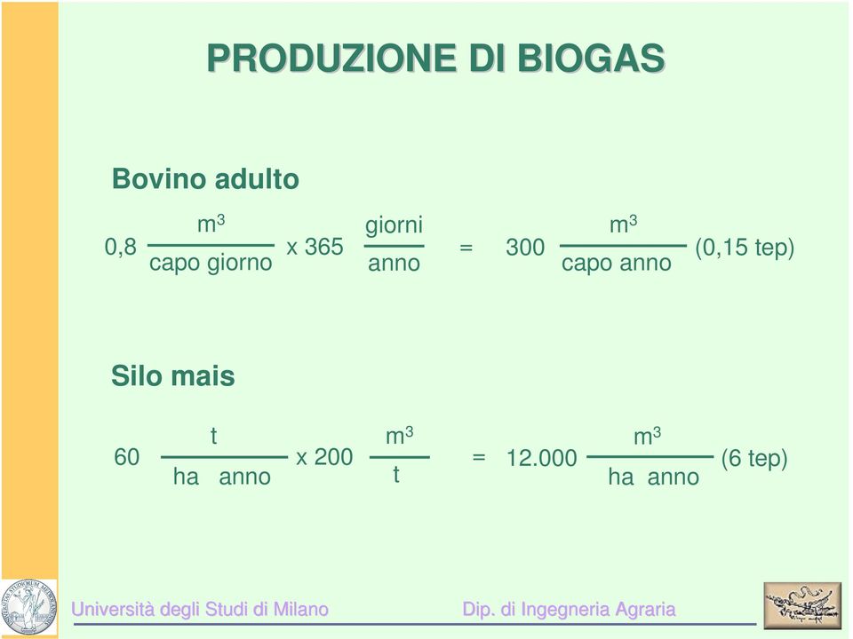 300 (0,15 tep) capo anno Silo mais t 60 x