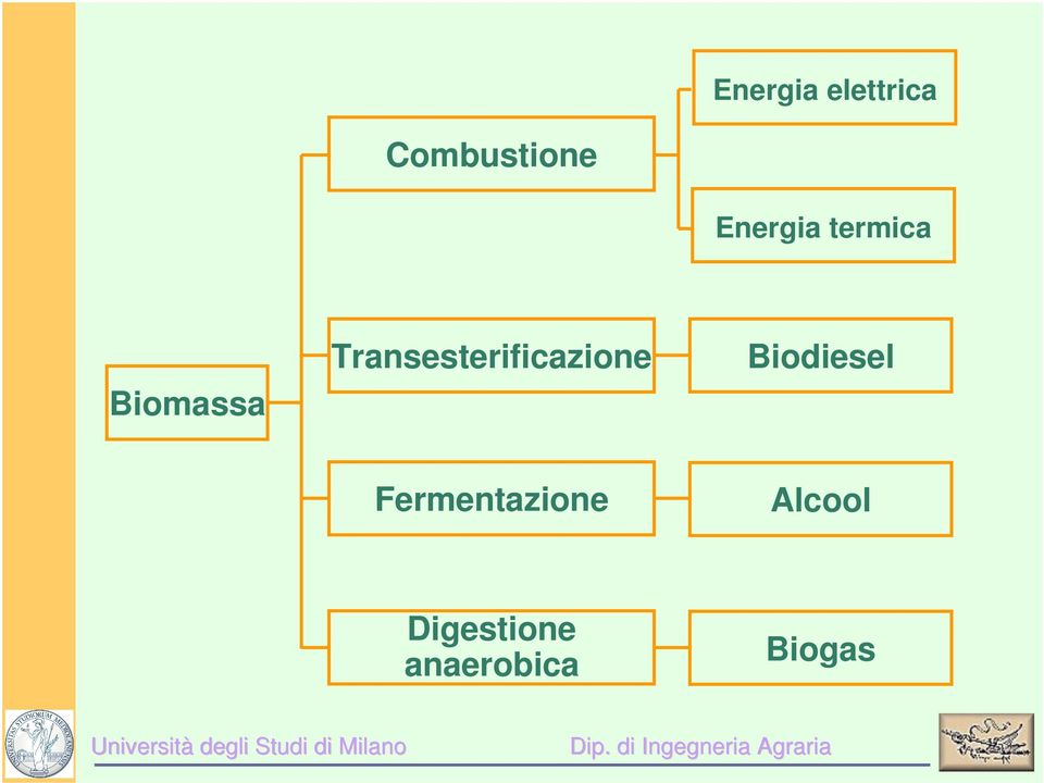 Transesterificazione Biodiesel