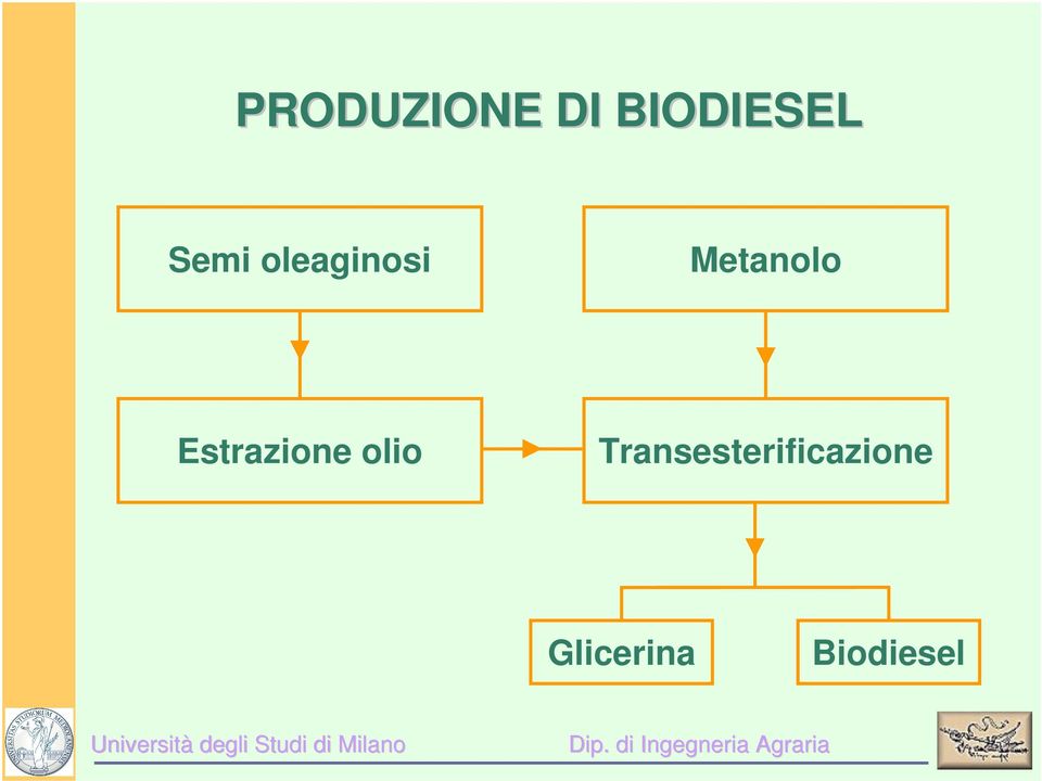 Estrazione olio