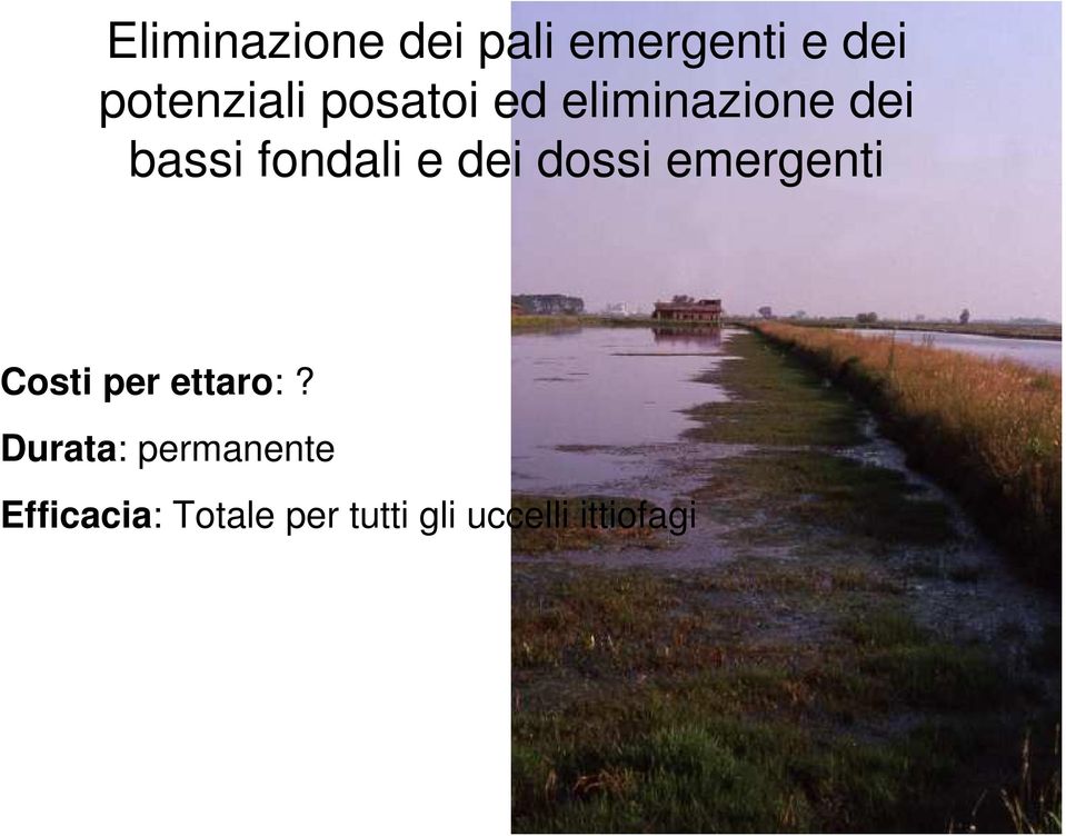 dossi emergenti Costi per ettaro:?