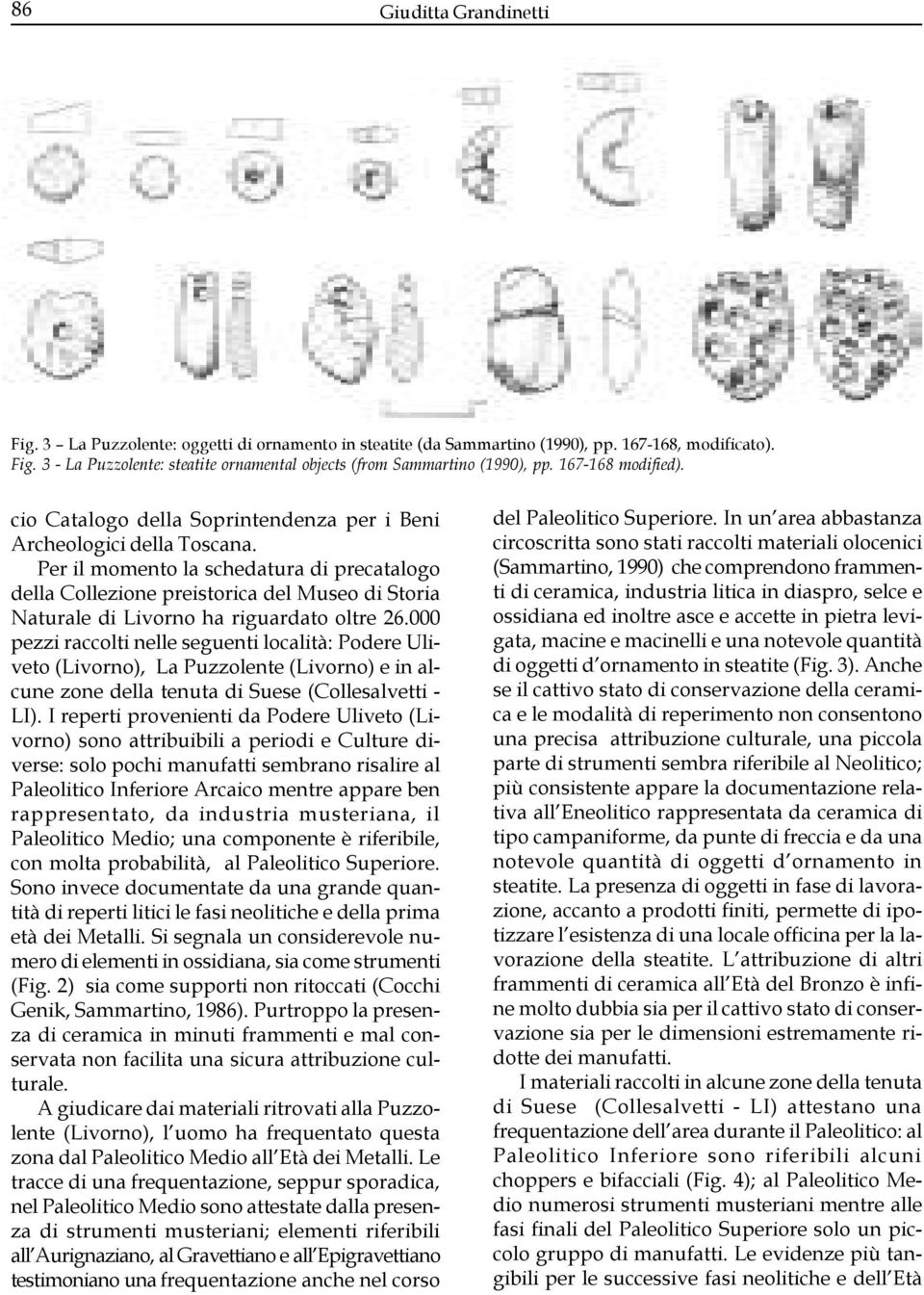 Per il momento la schedatura di precatalogo della Collezione preistorica del Museo di Storia Naturale di Livorno ha riguardato oltre 26.