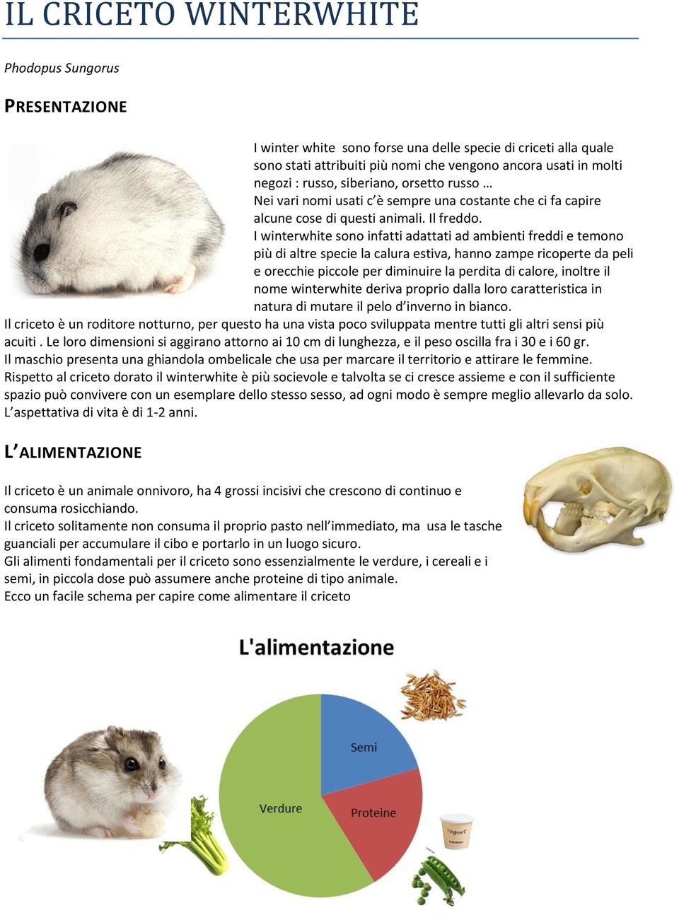 I winterwhite sono infatti adattati ad ambienti freddi e temono più di altre specie la calura estiva, hanno zampe ricoperte da peli e orecchie piccole per diminuire la perdita di calore, inoltre il