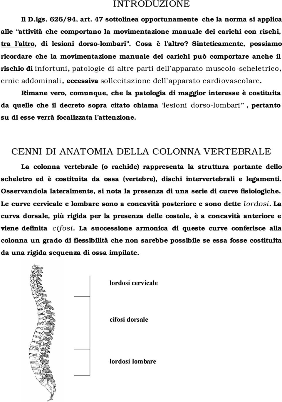 Sinteticamente, possiamo ricordare che la movimentazione manuale dei carichi può comportare anche il rischio di infortuni, patologie di altre parti dell apparato muscolo-scheletrico, ernie