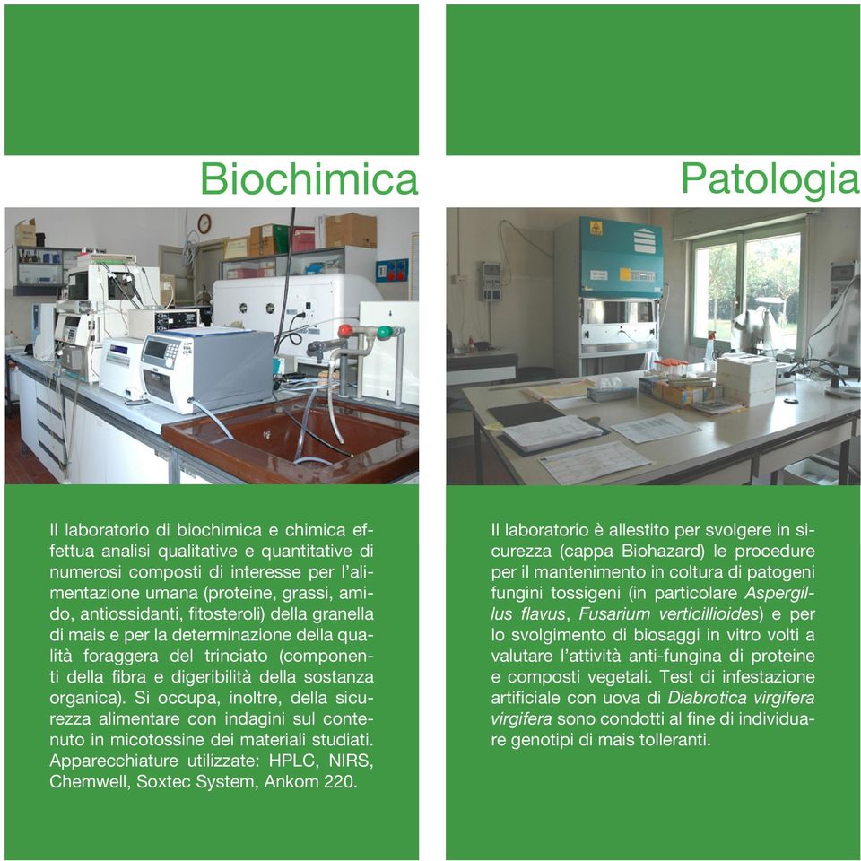 Si occupa, inoltre, della sicurezza alimentare con indagini sul contenuto in micotossine dei materiali studiati. Apparecchiature utilizzate: HPLC, NIRS, Chemwell, Soxtec System, Ankom 220.