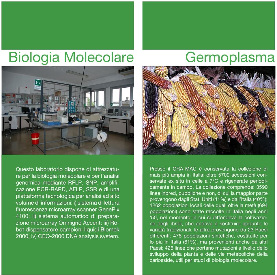 Accent; iii) Robot dispensatore campioni liquidi Biomek 2000; iv) CEQ-2000 DNA analysis system.