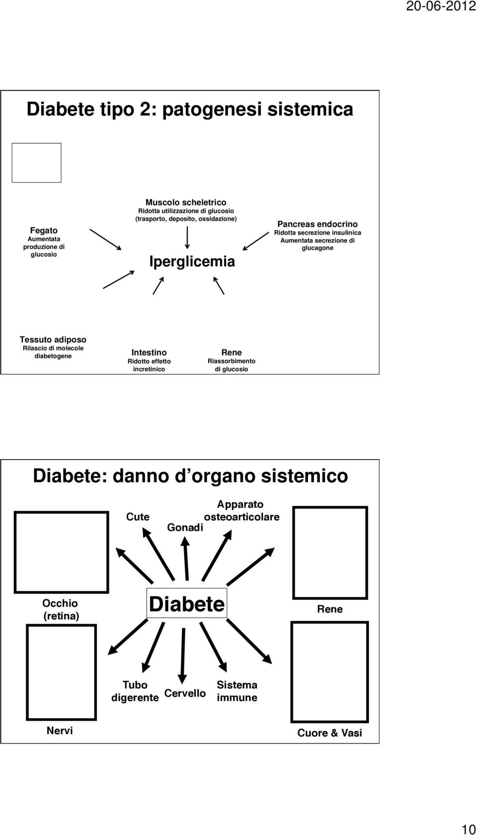 adiposo Rilascio di molecole diabetogene Intestino Ridotto effetto incretinico Rene Riassorbimento di glucosio Diabete: danno d organo