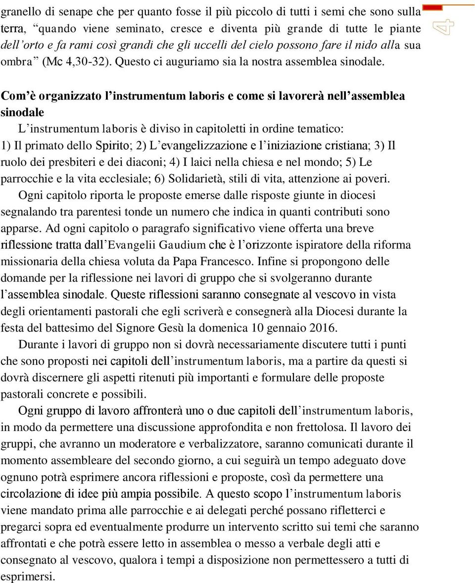 Com è organizzato l instrumentum laboris e come si lavorerà nell assemblea sinodale L instrumentum laboris è diviso in capitoletti in ordine tematico: 1) Il primato dello Spirito; 2) L