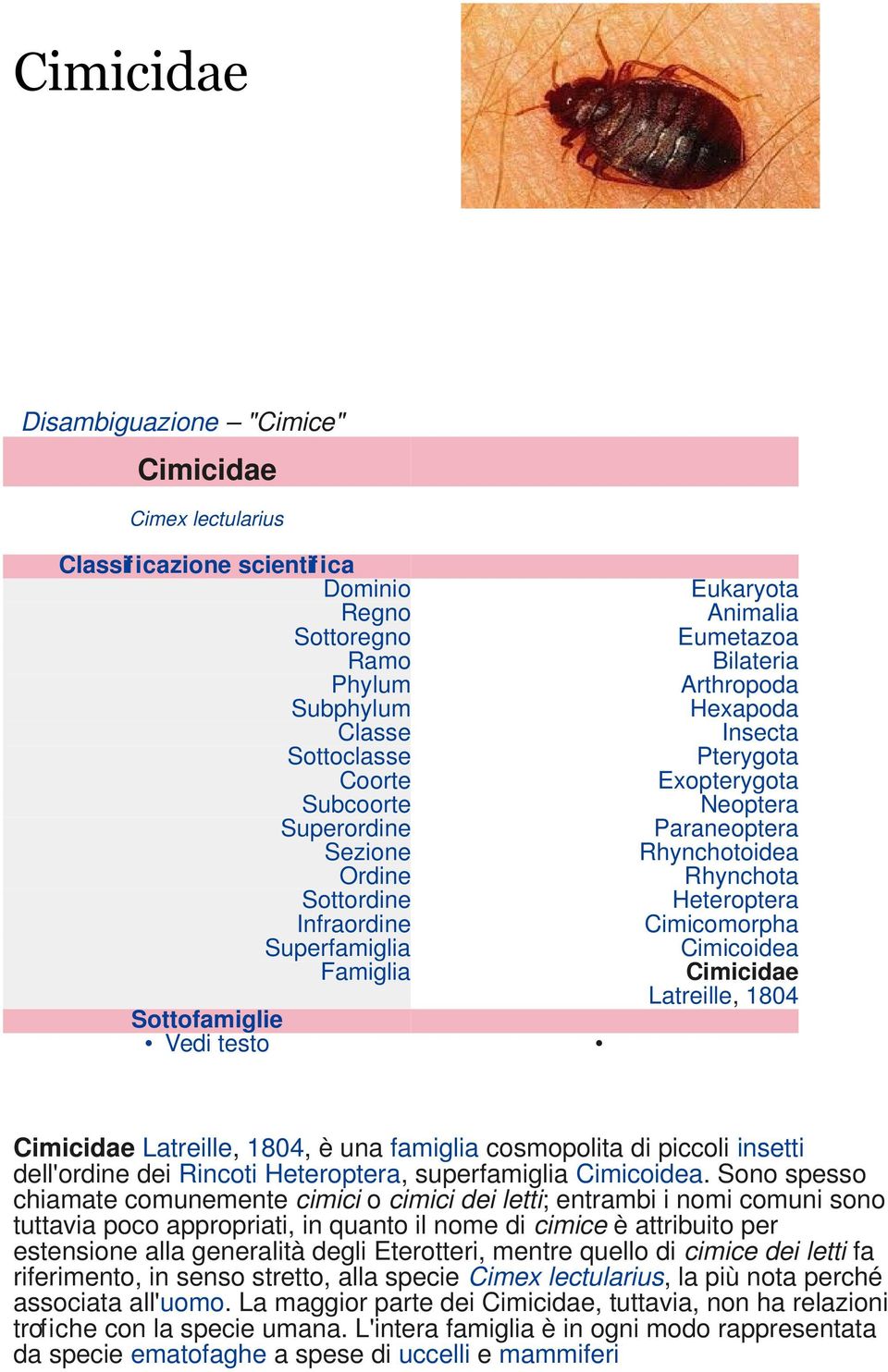 Rhynchotoidea Rhynchota Heteroptera Cimicomorpha Cimicoidea Cimicidae Latreille, 1804 Cimicidae Latreille, 1804, è una famiglia cosmopolita di piccoli insetti dell'ordine dei Rincoti Heteroptera,