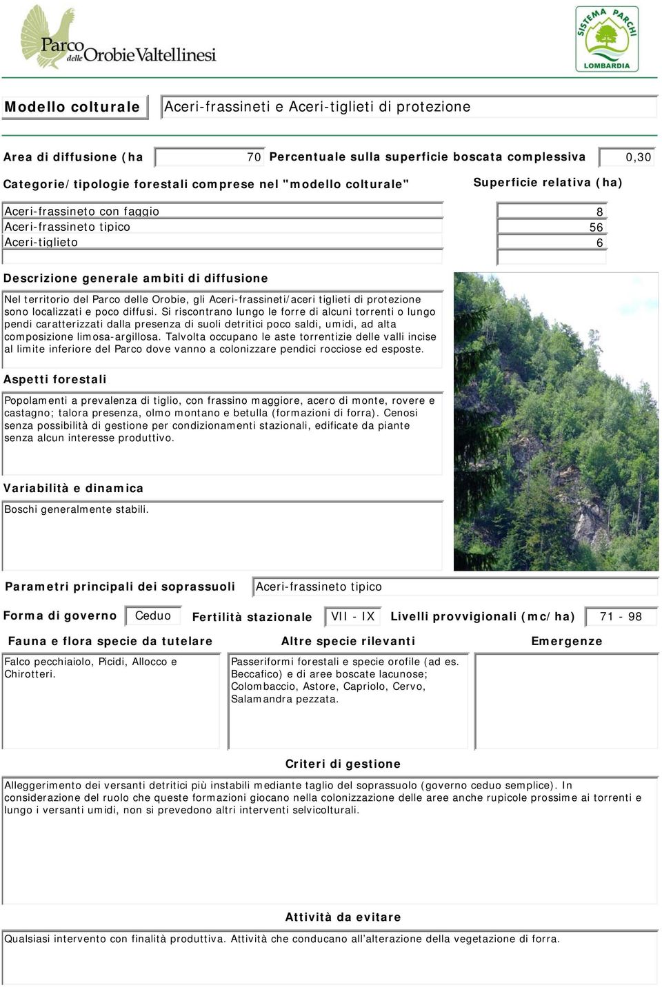 Aceri-frassineti/aceri tiglieti di protezione sono localizzati e poco diffusi.