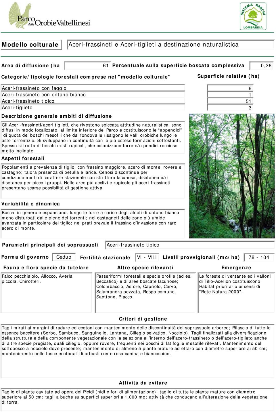 Aceri-frassineti/aceri tiglieti, che rivestono spiccata attitudine naturalistica, sono diffusi in modo localizzato, al limite inferiore del Parco e costituiscono le appendici di quota dei boschi