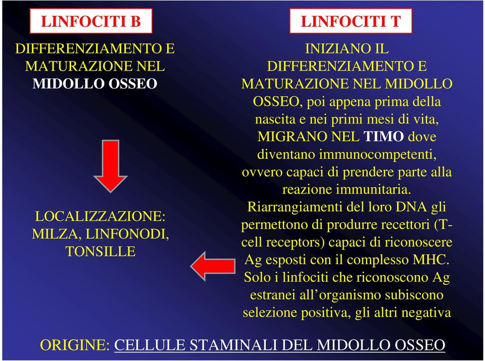 alla reazione immunitaria.