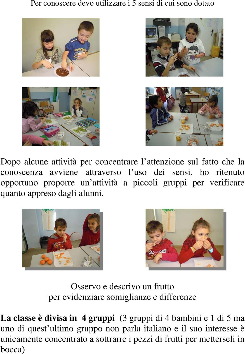 Osservo e descrivo un frutto per evidenziare somiglianze e differenze La classe è divisa in 4 gruppi (3 gruppi di 4 bambini e 1 di 5 ma uno