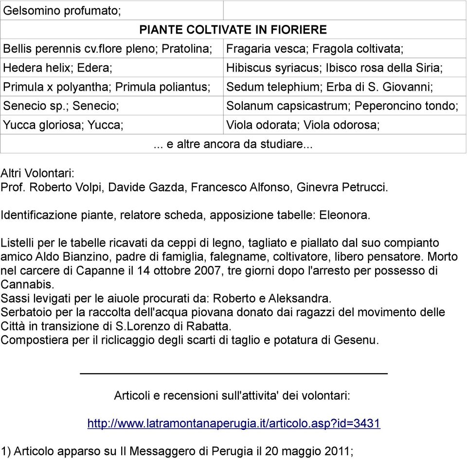 Giovanni; Solanum capsicastrum; Peperoncino tondo; Viola odorata; Viola odorosa;... e altre ancora da studiare... Altri Volontari: Prof.